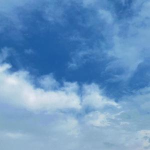 斯嘉丽裸被❌视频
